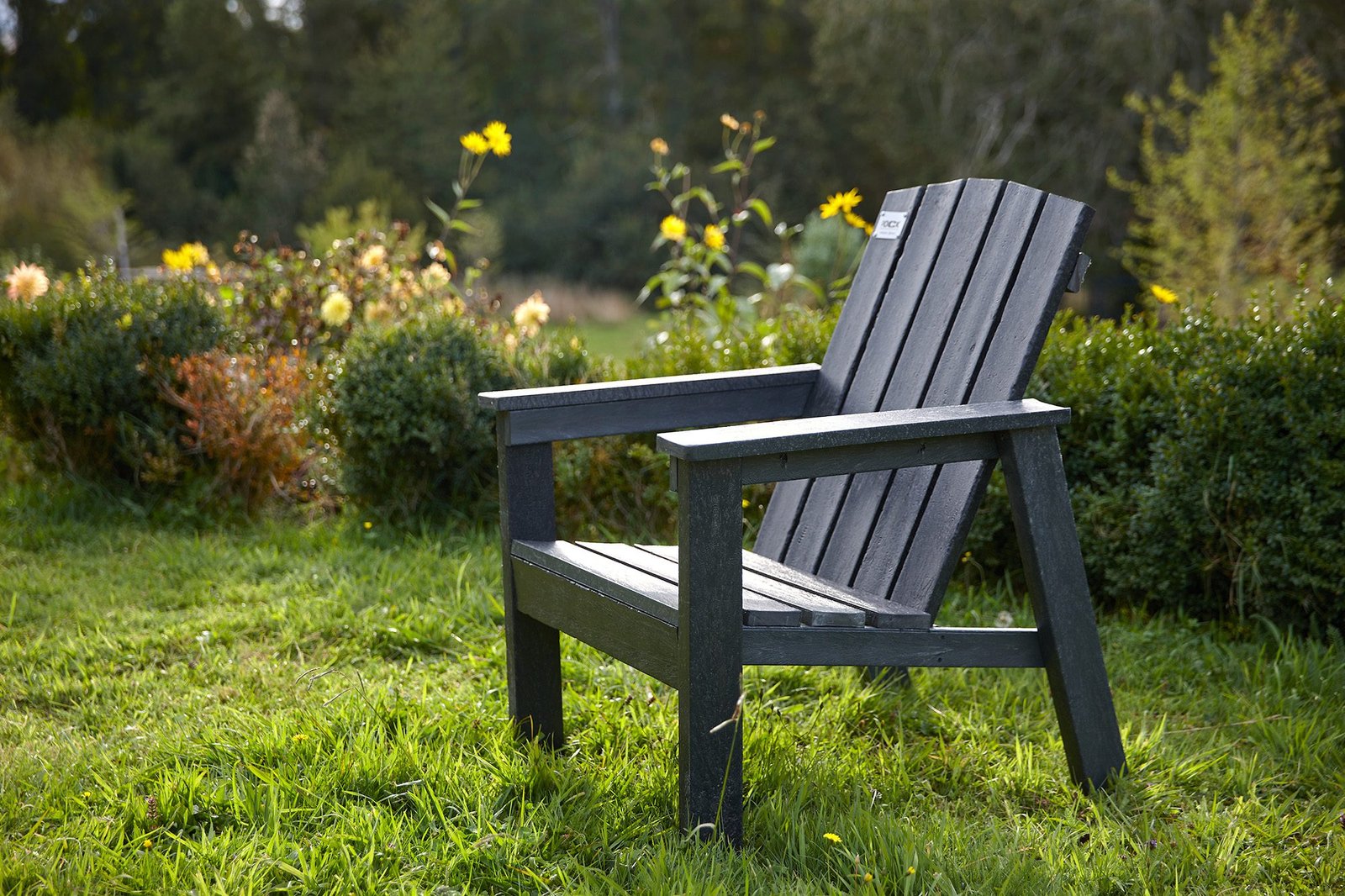 Silla Adirondack