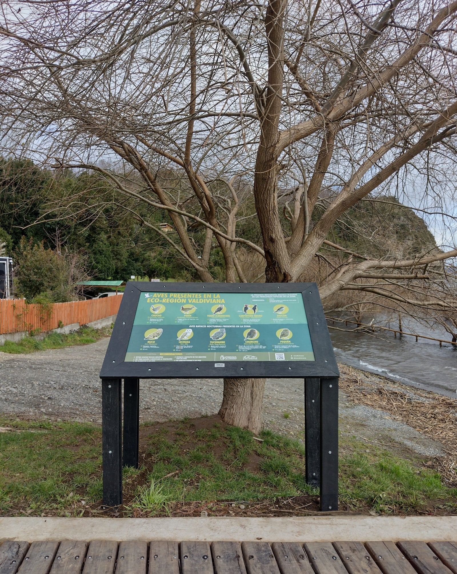 Paneles interpretativos